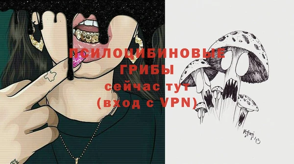 соль курить ск Няндома